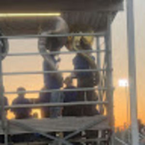 Meet your Posher, Mila